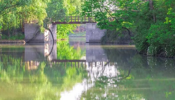 小溪泛尽却山行什么意思 小溪泛尽却山行是什么意思