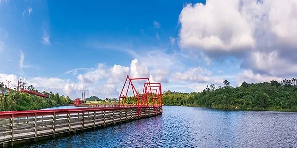 华侨和华人的区别 华侨和华人有什么区别