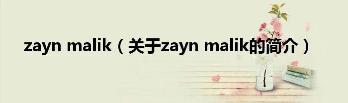 zayn malik（关于zayn malik的简介）