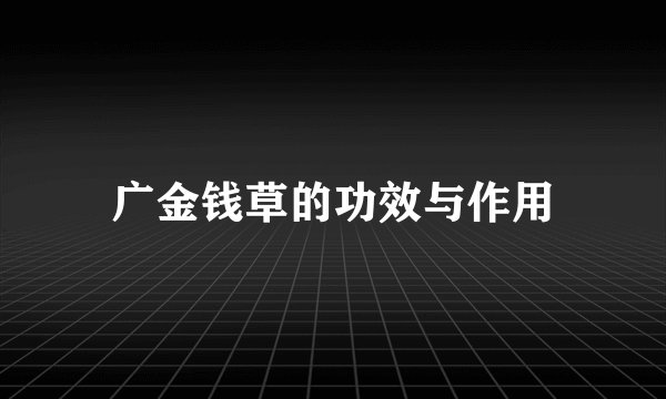广金钱草的功效与作用