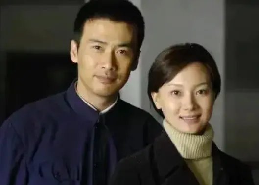 评分9.0以上的谍战剧