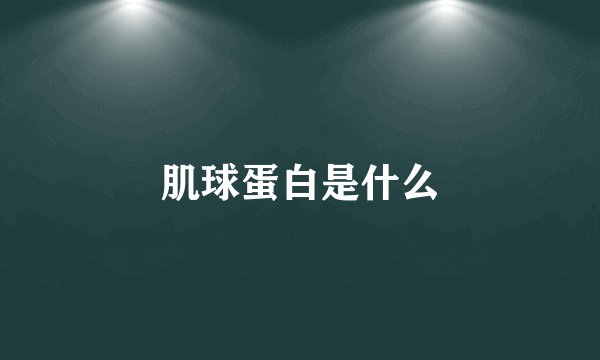 肌球蛋白是什么