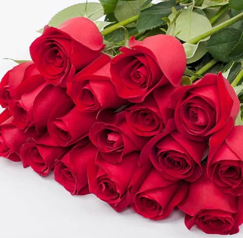 18朵玫瑰代表什么意思 18朵粉玫瑰花语是什么意思