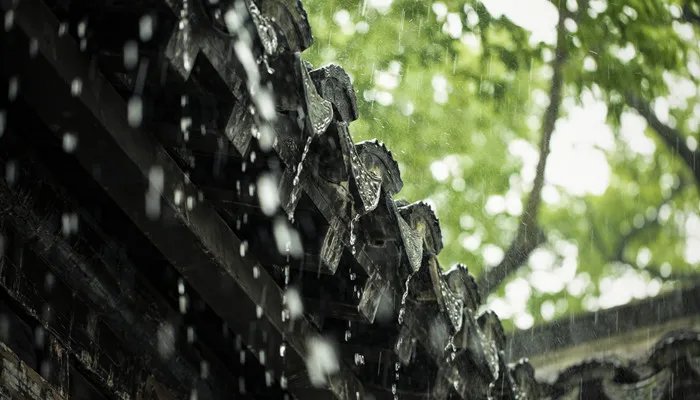 下雨前的预兆有哪些 下雨前的预兆有哪些表现