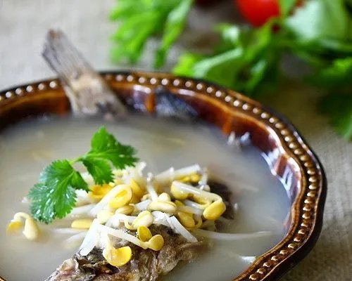 鲇鱼图片及营养价值 孕妇可以吃鲇鱼吗