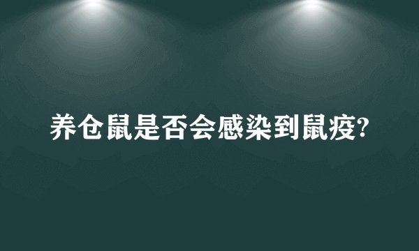 养仓鼠是否会感染到鼠疫?