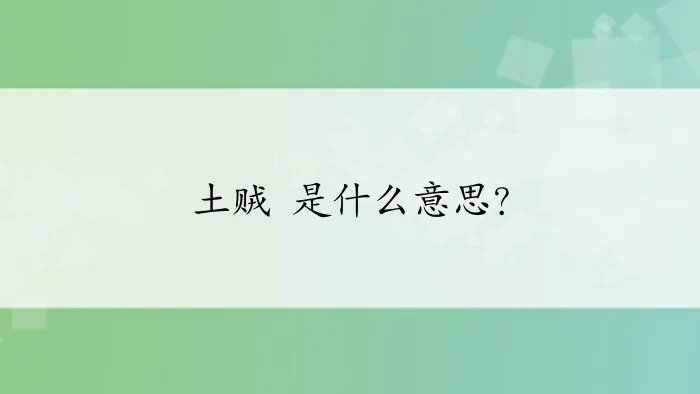 土贼 是什么意思？