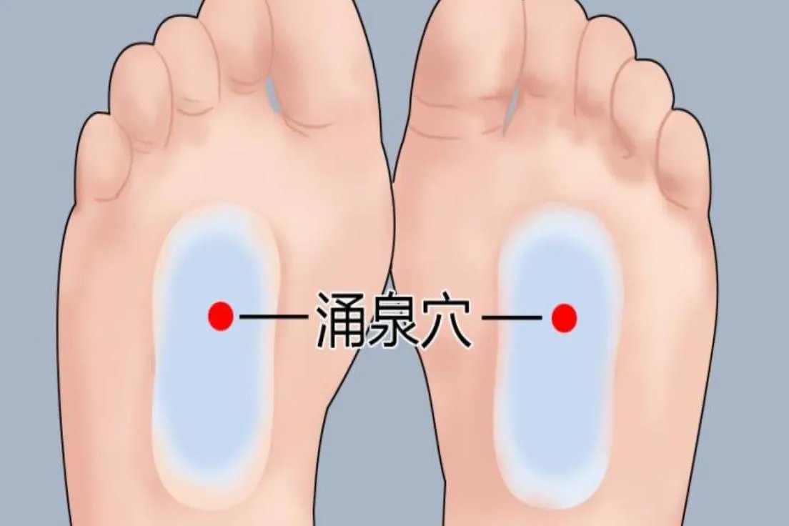 三伏贴过敏性鼻炎贴敷部位图