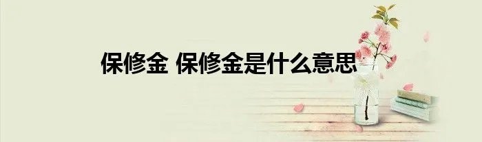 保修金 保修金是什么意思