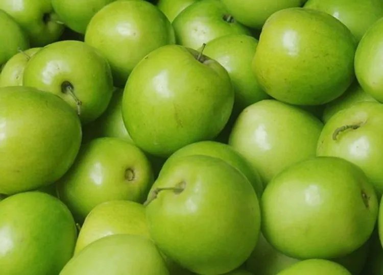 青枣的功效与作用