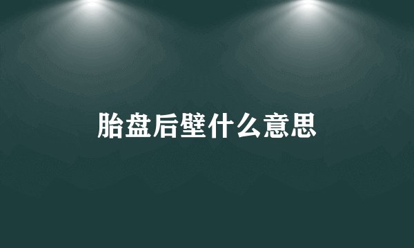 胎盘后壁什么意思