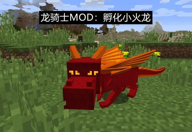 我的世界末影龙蛋怎么孵化2023