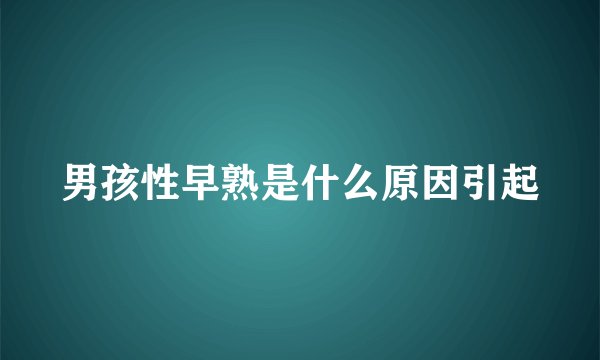 男孩性早熟是什么原因引起