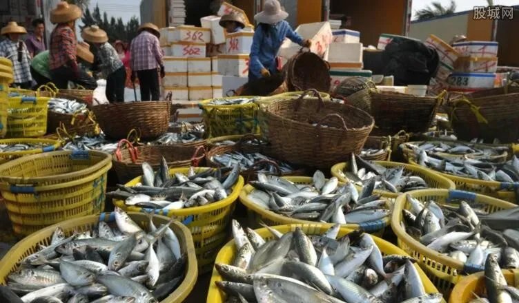 日本污水流入外海 日本这样做的真相被曝光令人吃惊