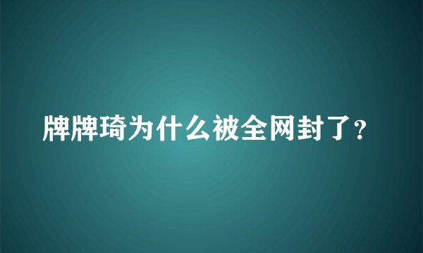 牌牌琦为什么被全网封了?