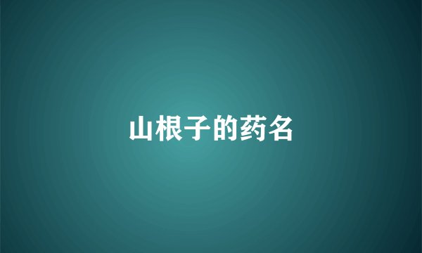 山根子的药名