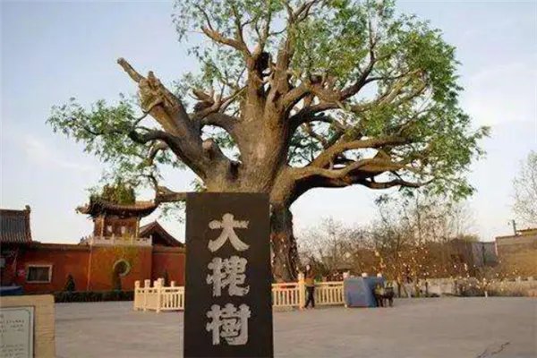 山西一日游必去的地方排行：雁门关上榜，第六是瀑布美景