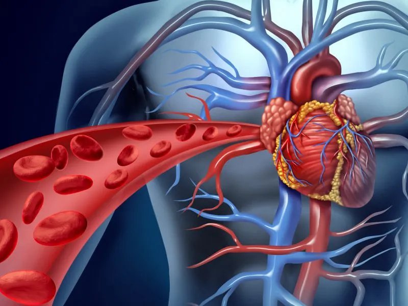 微循环检测仪的使用方法