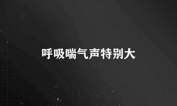 呼吸喘气声特别大