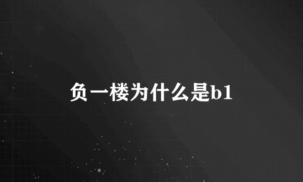 负一楼为什么是b1