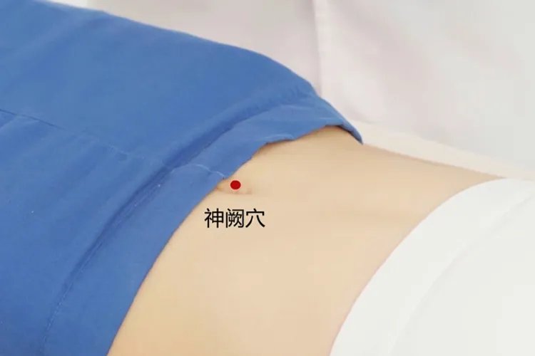 三伏贴最佳穴位图