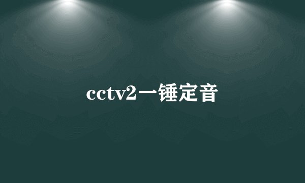 cctv2一锤定音