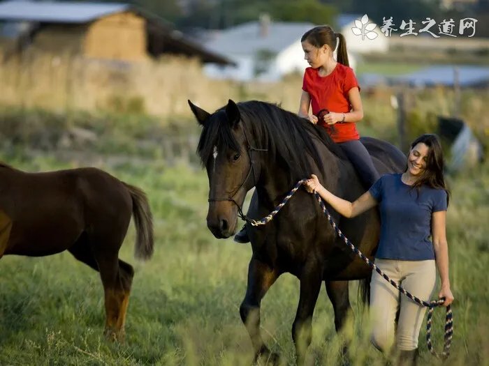 狗狗火化多少钱 咨询当地的宠物医院