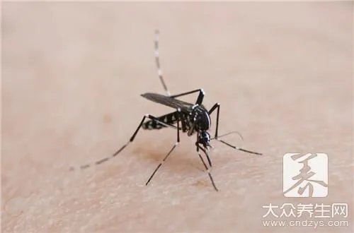 电蚊香怎么使用才安全