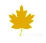 动态图像文件格式有什么（图片文件格式大全）