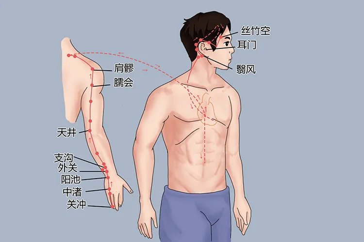 艾灸人体的经络位置图