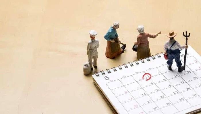 国历是什么 国历是啥意思