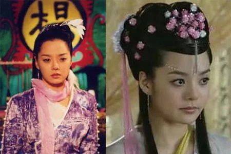 蔡琳电视剧有哪些真正的暴露年龄系列