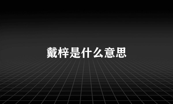 戴梓是什么意思