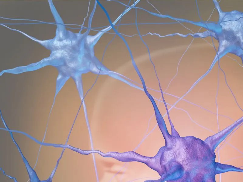 中枢神经系统疾病有哪些