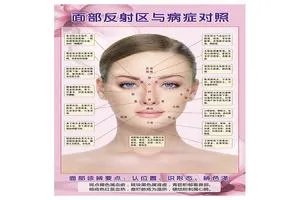 女人面部长斑反射区图解