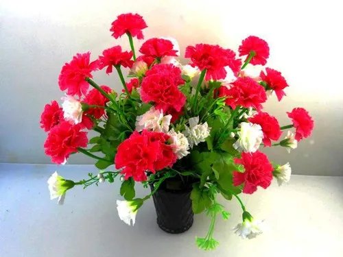 康乃馨花束图片及制作方法  如何养护康乃馨花束