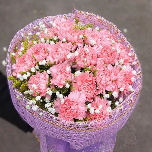 康乃馨花束图片及制作方法  如何养护康乃馨花束