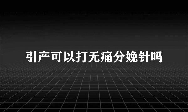 引产可以打无痛分娩针吗