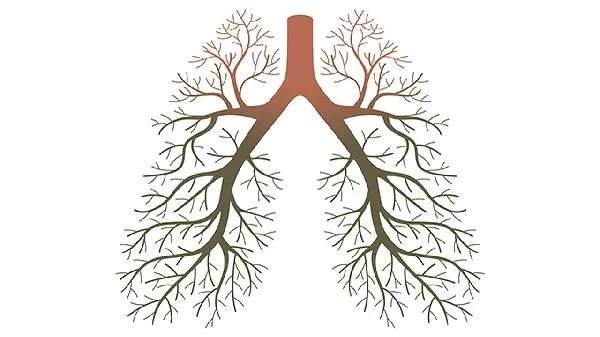 肿瘤指标有哪几项