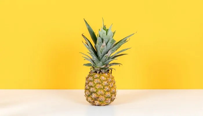 常见的单子叶植物有哪些 常见的单子叶植物