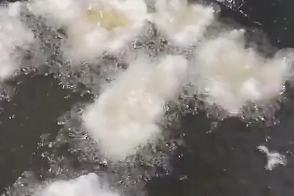 锅包肉是哪里的菜系