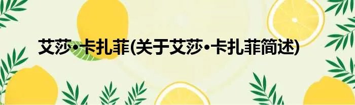 艾莎·卡扎菲(关于艾莎·卡扎菲简述)