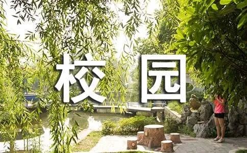 美丽的校园300字作文