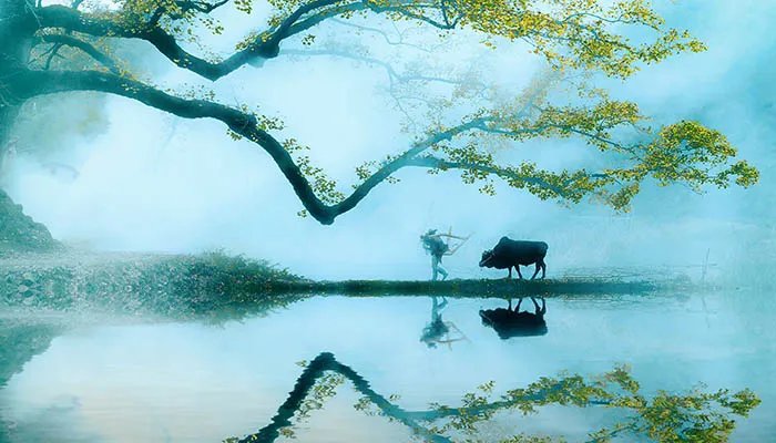 2022清明节是哪一天几月几号 2022清明节是什么时间