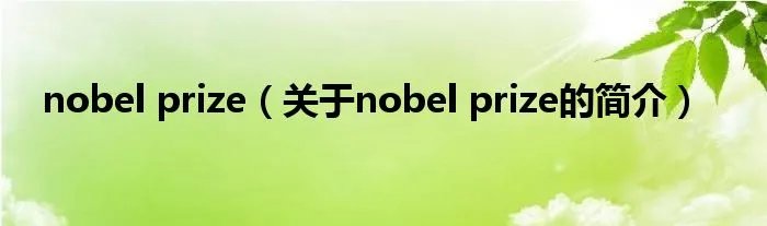 nobel prize（关于nobel prize的简介）