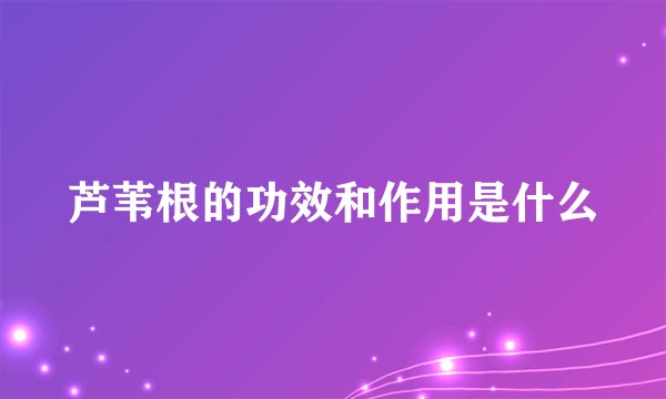 芦苇根的功效和作用是什么