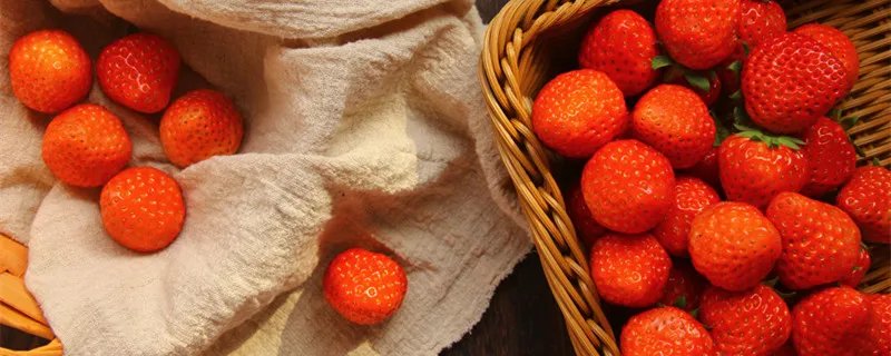 草莓原产地 草莓原产地是哪里