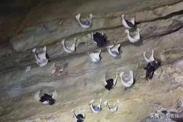 泰国最值得买什么？