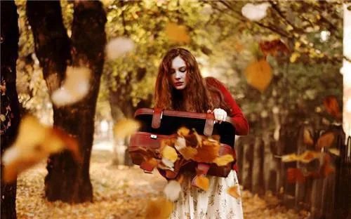 医路有你生死不弃沈言曦季礼 医路有你生死不弃小说免费阅读