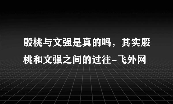 殷桃与文强是真的吗，其实殷桃和文强之间的过往-飞外网